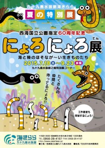 海きらら にょろにょろ展 チラシ